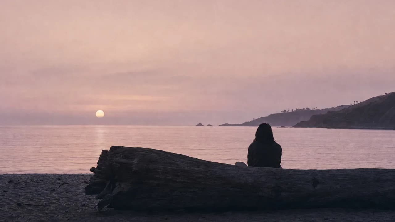A person sitting on dark sand against a large driftwood log at dusk, back to camera, facing a still ocean and a pale low sun.